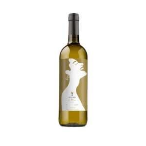 Vino verdejo “Pepa 2023"